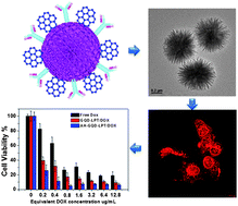 Graphical abstract: Multifunctional graphene quantum dots-conjugated titanate nanoflowers for fluorescence-trackable targeted drug delivery