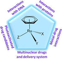 Graphical abstract: Multifaceted half-sandwich arene–ruthenium complexes: interactions with biomolecules, photoactivation, and multinuclearity approach