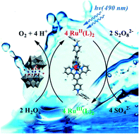 Graphical abstract: Bis(4′-(4-pyridyl)-2,2′:6′,2′′-terpyridine)ruthenium(ii) complexes and their N-alkylated derivatives in catalytic light-driven water oxidation