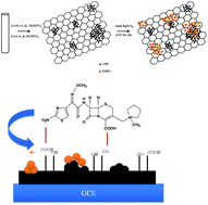Graphical abstract: Construction of Pt nanoparticle-decorated graphene nanosheets and carbon nanospheres nanocomposite-modified electrodes: application to ultrasensitive electrochemical determination of cefepime