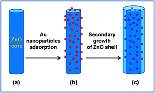 Graphical abstract: Radial sandwich hybrid nanorods by analogously inserting Au nanoparticles in ZnO nanorods