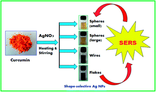 Graphical abstract: In situ formation of curcumin stabilized shape-selective Ag nanostructures in aqueous solution and their pronounced SERS activity