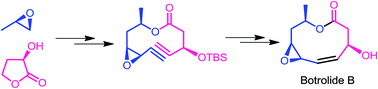 Graphical abstract: Concise total synthesis of botryolide B