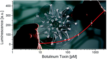 Graphical abstract: Rapid and highly sensitive luciferase reporter assay for the automated detection of botulinum toxin in the centrifugal microfluidic LabDisk platform
