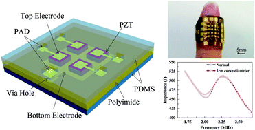 Graphical abstract: A flexible piezoelectric micromachined ultrasound transducer