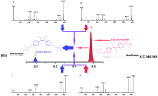 Graphical abstract: Identification and quantitation of diethylstilbestrol in aquatic products using gas chromatography coupled with triple quadrupole tandem mass spectrometry