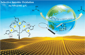 Graphical abstract: Gold nanoparticles supported on supramolecular ionic liquid grafted graphene: a bifunctional catalyst for the selective aerobic oxidation of alcohols