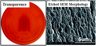 Graphical abstract: A novel benzoxazine/epoxy blend with multiphase structure
