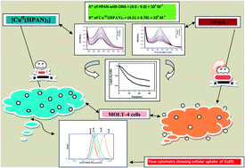 Graphical abstract: Enhancement of anti-leukemic potential of 2-hydroxyphenyl-azo-2′-naphthol (HPAN) on MOLT-4 cells through conjugation with Cu(ii)