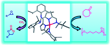 Graphical abstract: Versatile metal complexes of 2,5-bis{N-(2,6-di isopropylphenyl)iminomethyl}pyrrole for epoxide–CO2 coupling and ring opening polymerization of ε-caprolactone