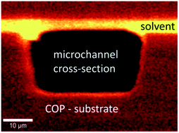 Graphical abstract: A detailed micrometer scale investigation of the solvent bonding process for microfluidic chip fabrication