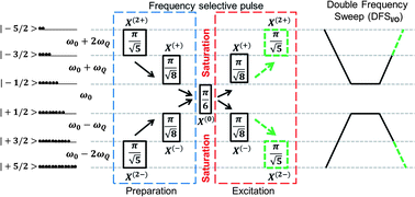 Graphical abstract: Nuances of multi-quantum excitation in solid state NMR of quadrupolar nuclei