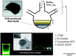 Graphical abstract: Synthesis of mesoporous silica oxide/C-dot complex (meso-SiO2/C-dots) using pyrolysed rice husk and its application in bioimaging