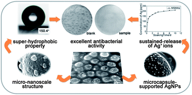 Graphical abstract: Preparation of lotus-leaf-like antibacterial film based on mesoporous silica microcapsule-supported Ag nanoparticles