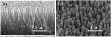 Graphical abstract: Facile synthesis of carbon decorated silicon nanotube arrays as anode material for high-performance lithium-ion batteries