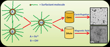 Graphical abstract: Single crystalline magnetite, maghemite, and hematite nanoparticles with rich coercivity