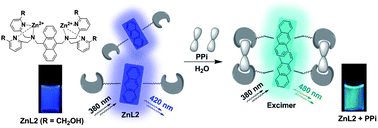 Graphical abstract: Highly selective and controllable pyrophosphate induced anthracene-excimer formation in water