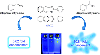 Graphical abstract: (S)-BINOL-based boronic ester fluorescence sensors for enantioselective recognition of α-phenylethylamine and phenylglycinol