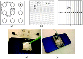 Graphical abstract: Hybrid ferroelectric–polymer microfluidic device for dielectrophoretic self-assembling of nanoparticles