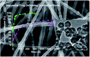 Graphical abstract: Mesoporous bioactive nanocarriers in electrospun biopolymer fibrous scaffolds designed for sequential drug delivery