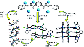 Graphical abstract: Synthesis, crystal structure, magnetic study and magneto-structural correlation of three Cu(ii) complexes formed via pyridine bis(hydrazone) based ligand