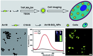 Graphical abstract: Aggregation-induced emission dye based luminescent silica nanoparticles: facile preparation, biocompatibility evaluation and cell imaging applications