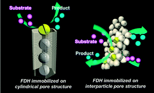Graphical abstract: Interparticle mesoporous silica as an effective support for enzyme immobilisation