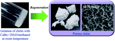 Graphical abstract: Facile preparation of chitin gels with calcium bromide dihydrate/methanol media and their efficient conversion into porous chitins