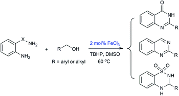 Graphical abstract: Iron-catalyzed oxidative synthesis of N-heterocycles from primary alcohols