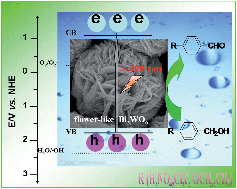 Graphical abstract: Bi2WO6: A highly chemoselective visible light photocatalyst toward aerobic oxidation of benzylic alcohols in water