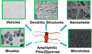 Graphical abstract: Amphiphilic pillar[5]arenes: influence of chemical structure on self-assembly morphology and application in gas response and λ-DNA condensation