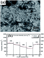 Graphical abstract: Co-pyrolysis synthesis of Fe3BO6 nanorods as high performance anodes for lithium-ion batteries