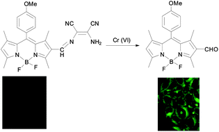 Graphical abstract: A highly selective turn-on fluorescent chemodosimeter for Cr(vi) and its application in living cell imaging