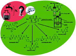 Graphical abstract: Solvent-free peptide synthesis assisted by microwave irradiation: environmentally benign synthesis of bioactive peptides