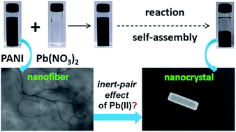 Graphical abstract: Nanofibers to nanocuboids of polyaniline by lead nitrate: hierarchical self-assembly with lead ions