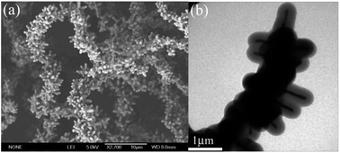Graphical abstract: Self-assembled synthesis of carbon-coated Fe3O4 composites with firecracker-like structures from catalytic pyrolysis of polyamide