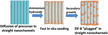 Graphical abstract: A fast in situ seeding route to the growth of a zeolitic imidazolate framework-8/AAO composite membrane at room temperature