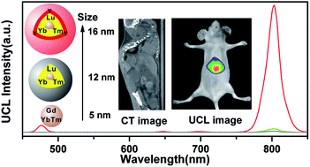 Graphical abstract: Sub-20 nm sandwich-structured NaGdF4:Yb/Tm@NaLuF4:Yb/Tm@NaYF4 nanocrystals for in vivo upconversion luminescence/computed tomography imaging