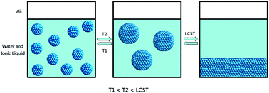 Graphical abstract: Microemulsion-like aggregation behaviour of an LCST-type ionic liquid in water