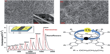 Graphical abstract: Phthalocyanine based nanowires and nanoflowers as highly sensitive room temperature Cl2 sensors