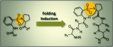 Graphical abstract: Probing the folding induction ability of orthanilic acid in peptides: some observations