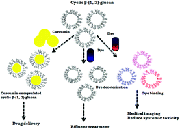 Graphical abstract: Characterization and applications of cyclic β-(1,2)-glucan produced from R. meliloti