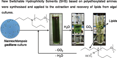 Graphical abstract: Synthesis of new polyethoxylated tertiary amines and their use as Switchable Hydrophilicity Solvents