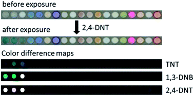 Graphical abstract: A patterned colorimetric sensor array for rapid detection of TNT at ppt level