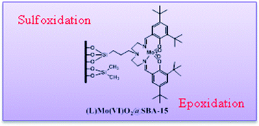 Graphical abstract: Synthesis and characterization of 3-[N,N′-bis-3-(salicylidenamino)ethyltriamine] Mo(vi)O2@SBA-15: a highly stable and reusable catalyst for epoxidation and sulfoxidation reactions
