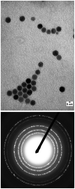 Graphical abstract: One-Vessel synthesis of iron oxide nanoparticles prepared in non-polar solvent