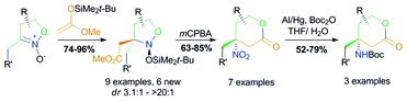 Graphical abstract: Three-step assembly of 4-aminotetrahydropyran-2-ones from isoxazoline-2-oxides