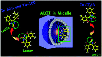 Graphical abstract: Differential modulation of lactim–lactam tautomerism process of an isoindole fused imidazole system in three different micellar assemblies of varying surface charge: a spectroscopic approach to various photophysical properties