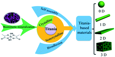 Graphical abstract: Biomimetic and bioinspired synthesis of titania and titania-based materials