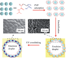 Graphical abstract: Colloidosomes from poly(N-vinyl-2-pyrrolidone)-coated poly(N-isopropylacrylamide-co-acrylic acid) microgels via UV crosslinking
